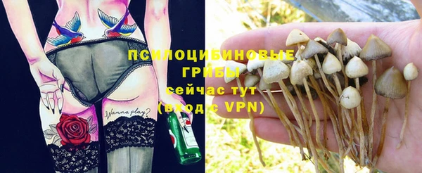 герыч Медногорск