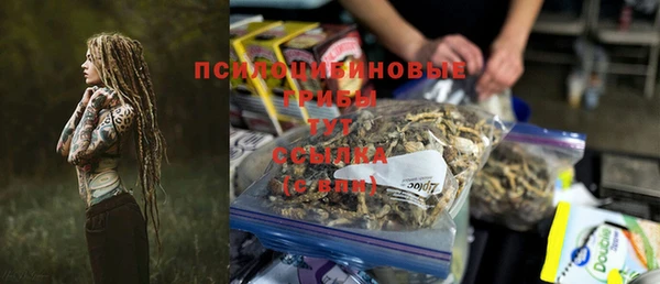 винт Абаза