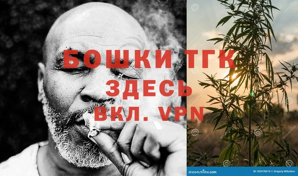 винт Абаза