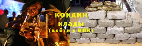 винт Абаза