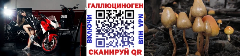 Галлюциногенные грибы MAGIC MUSHROOMS KRAKEN как войти Алдан